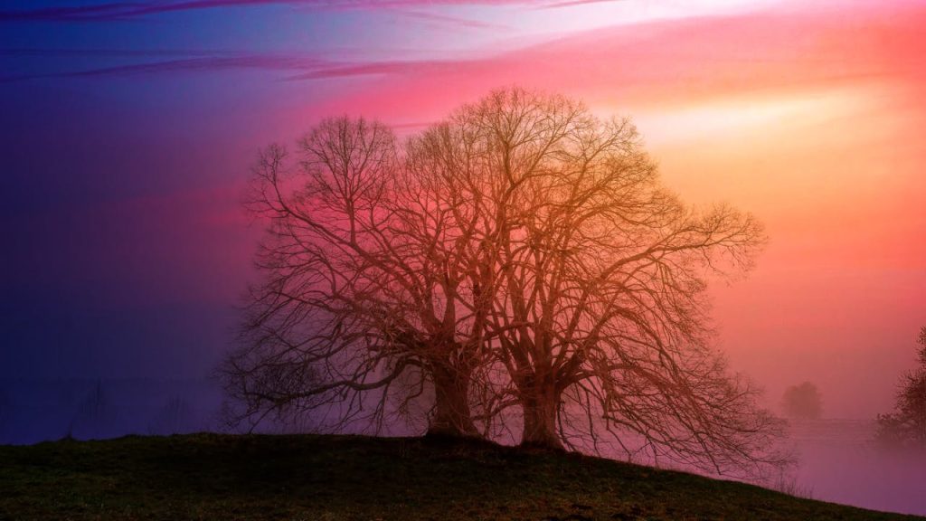 Sunrise - a new life